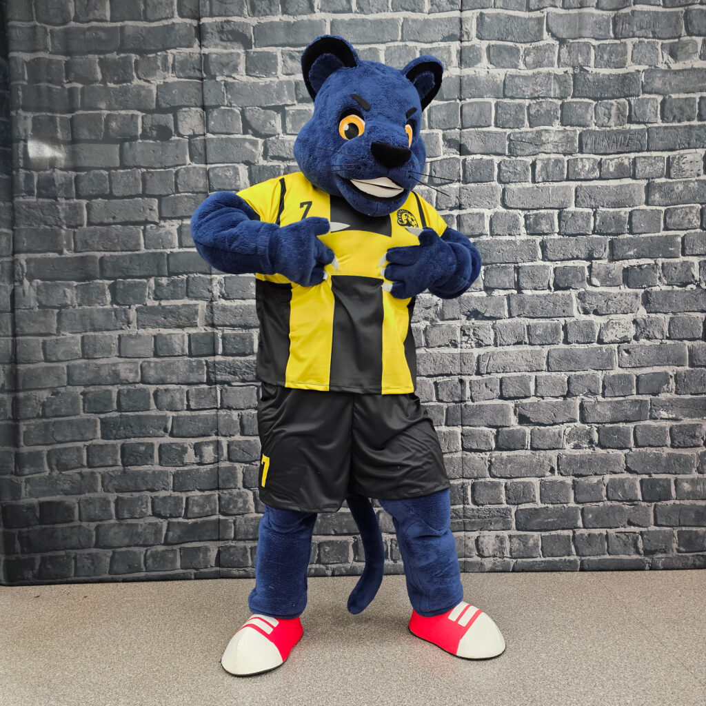 Mascot costumes